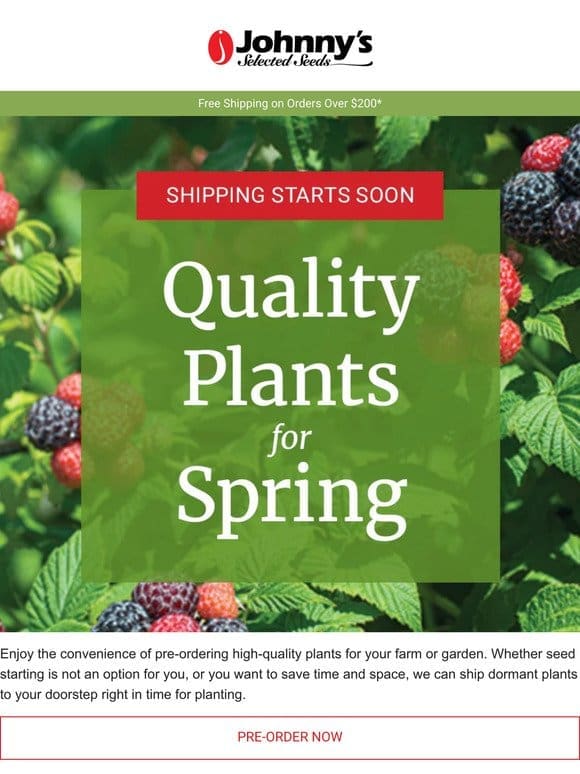 Pre-Order Spring Plants Before They’re Gone!