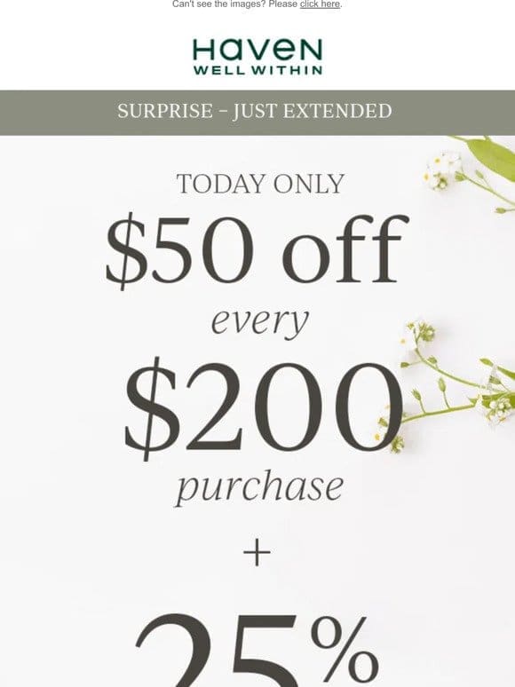 SURPRISE! Just Extended: 25% Off Your Purchase