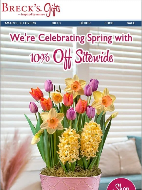 Save 10% on spring-inspired gifts