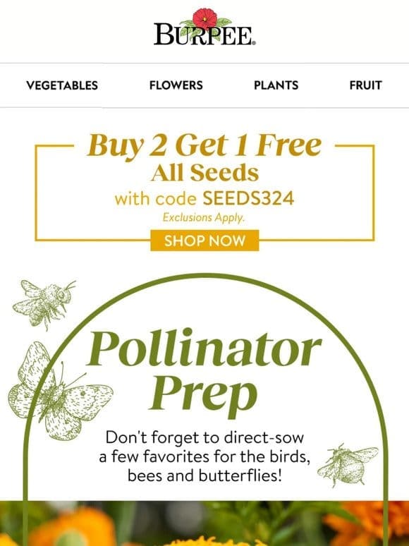 Seeds on sale – prepare for pollinators