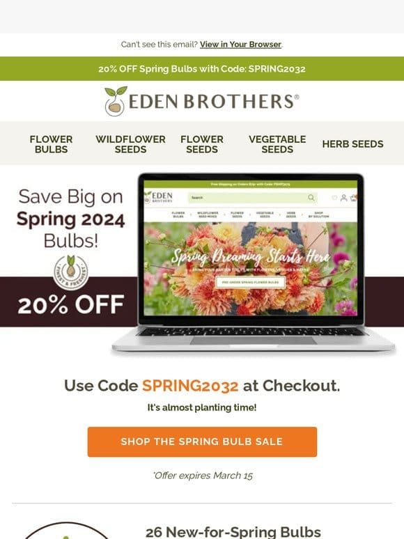 Spring Super Sale – 20% OFF BULBS!