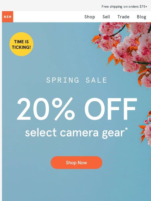 The Spring Sale is still going strong