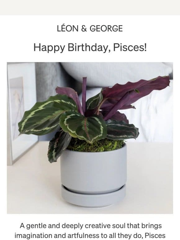 The perfect gift for Pisces