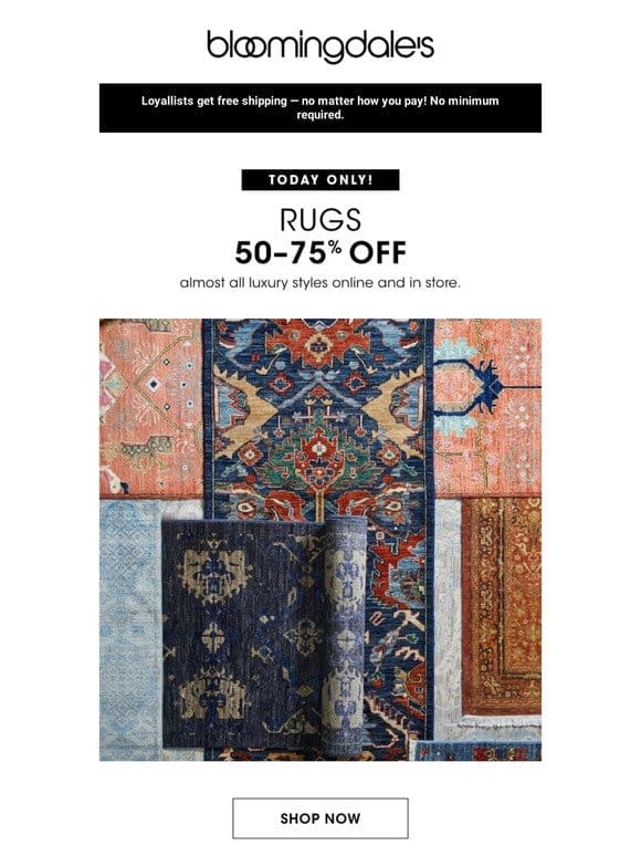 Today only! 50-75% off rugs