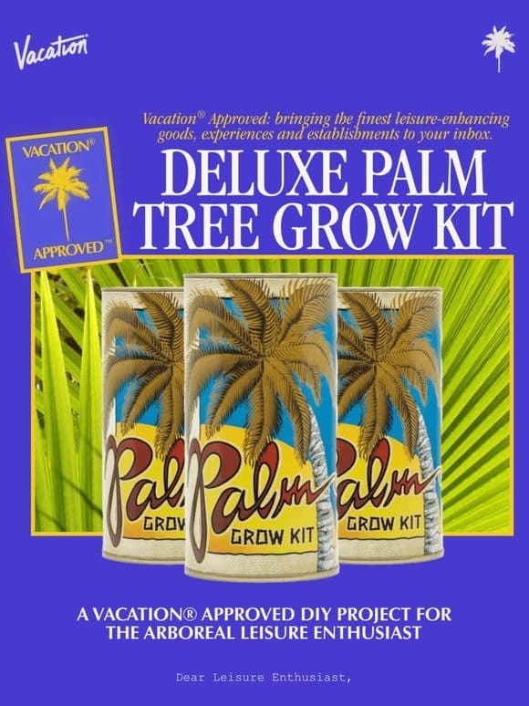Vacation® Approved: Deluxe Palm Tree Grow Kit