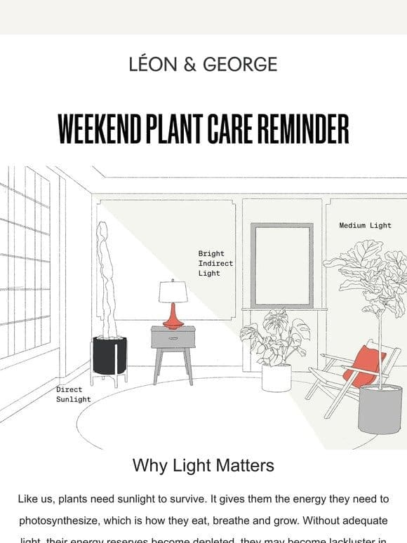 Weekend Plant Care Reminder