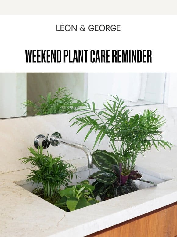 Weekend Plant Care Reminder