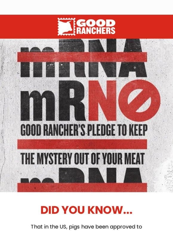 We’re Saying mRNO to mRNA Pork