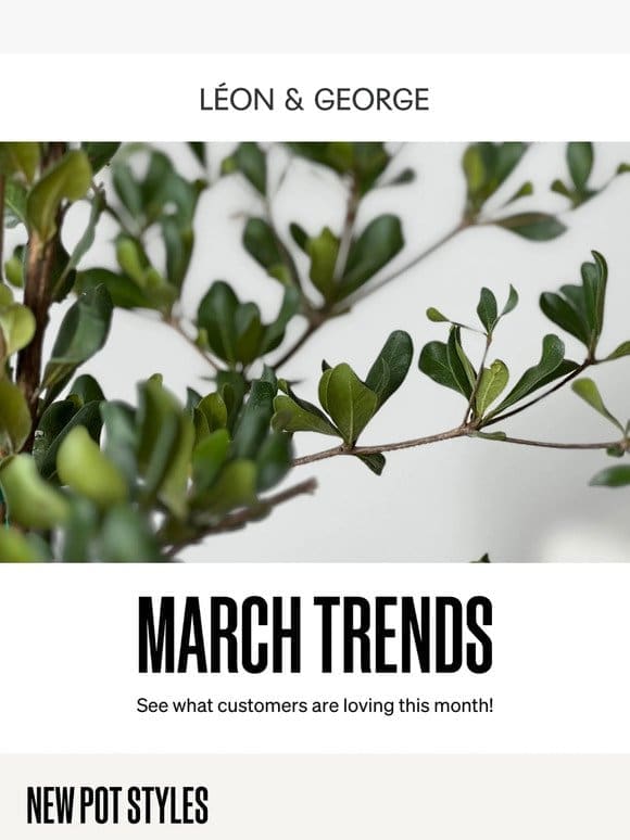 What’s Trending this March