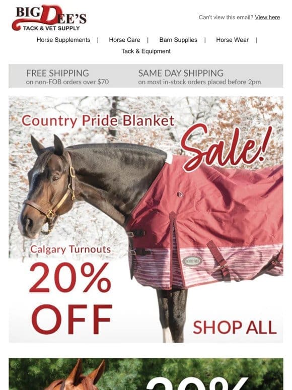 Winter DEALS – Turnout & Stable Blankets up to 40% OFF