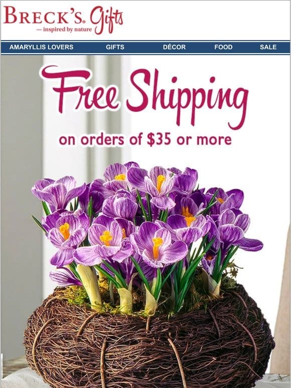 Your bulb garden gift for Mom ships FREE