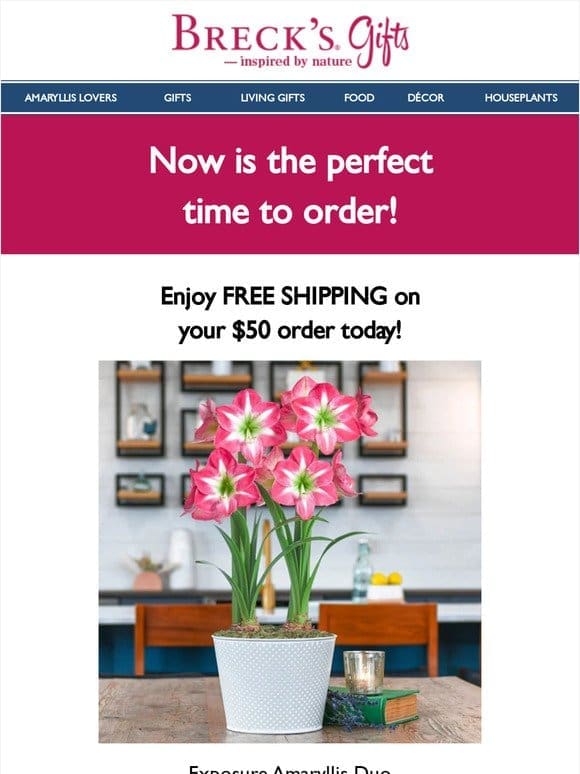 Your gifts may qualify for free shipping.