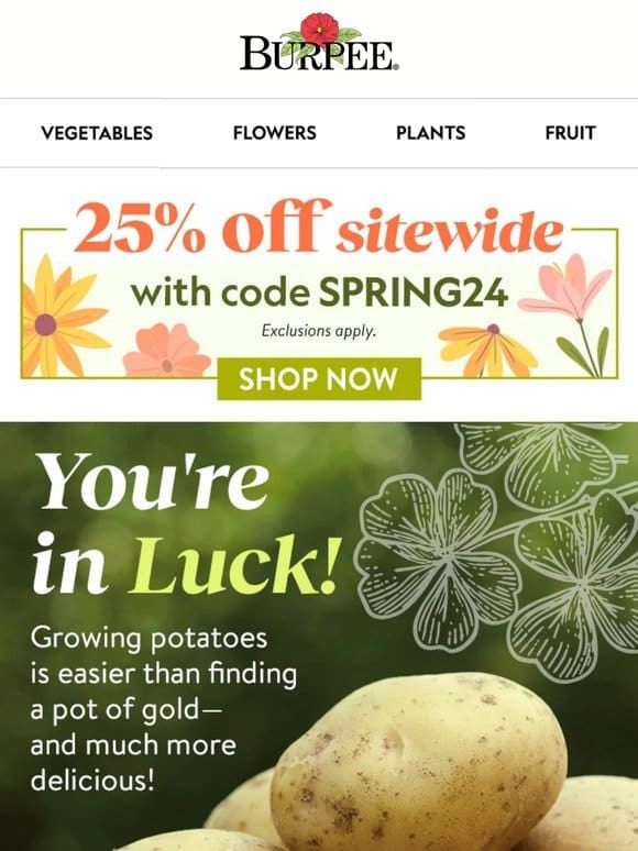Your lucky day – 25% off sitewide