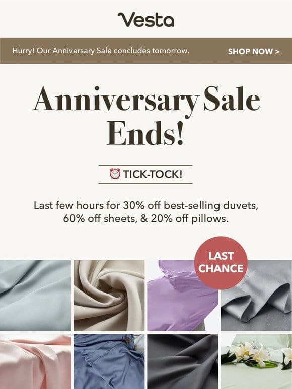 ⏰ Final Hours Alert: Our Anniversary Sale Ends Tomorrow!