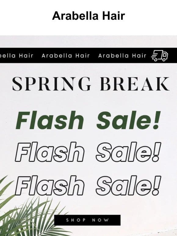 ✈️ SPRING BREAK FLASH SALE! ✈️