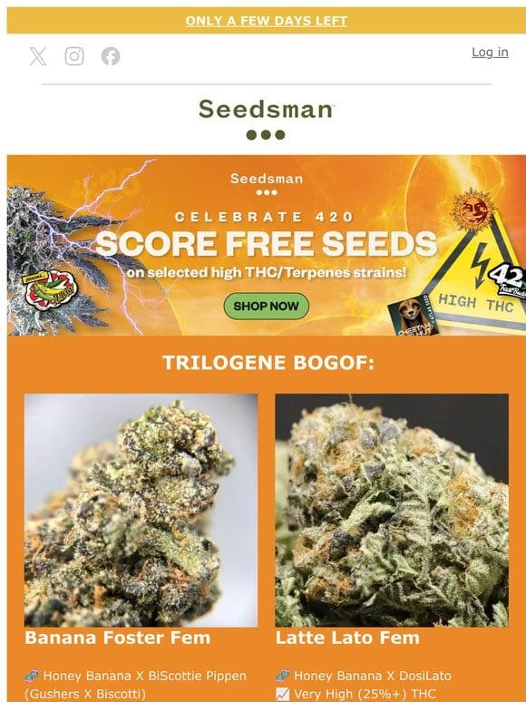 4️⃣2️⃣0️⃣ Trilogene BOGO or score up to 15 FREEBIES