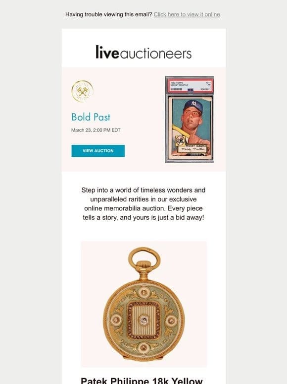 Activity Auctions | Bold Past