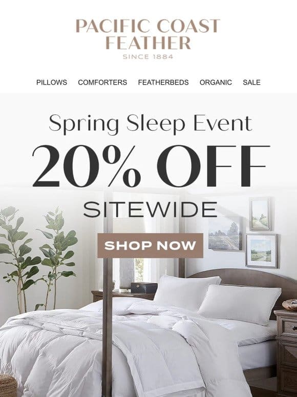 Celebrate World Sleep Day With 20% OFF Everything!