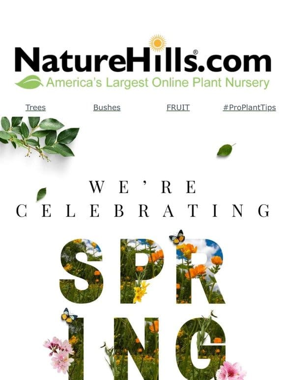 Celebrate spring with sitewide plant savings + free shipping