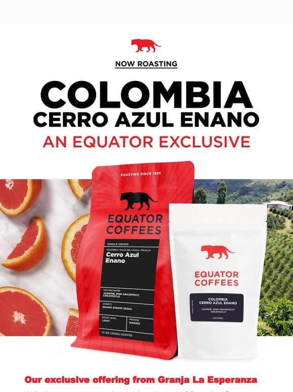 Colombia Cerro Azul Enano back! ❤️