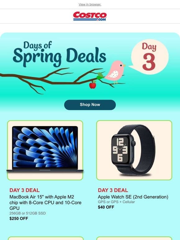 Day 3 of Spring Savings Days!