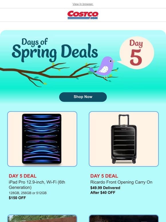 Day 5 of Spring Savings Days!