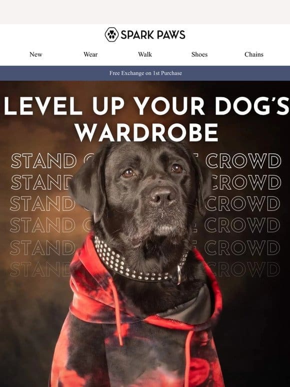 Dog gear that will turn heads!