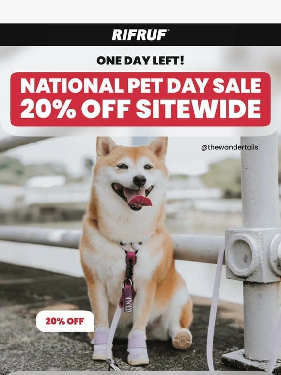 Don’t miss out on 20% off SITEWIDE