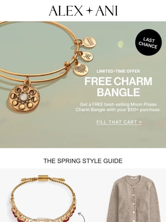 Ending Soon  ️ FREE Charm Bangle with $50+