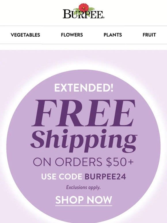 Extended! Free shipping