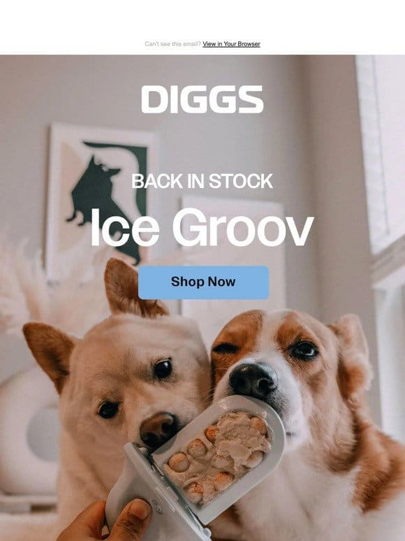 IT’S BACK!   Ice Groov