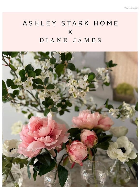 Just In: New Ashley Stark Home x Diane James