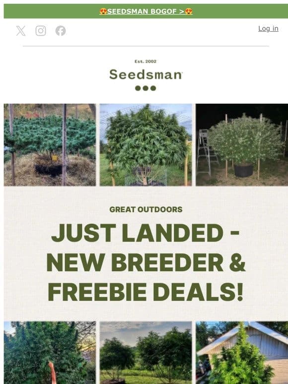 NEW BREEDER & FREEBIE DEALS!