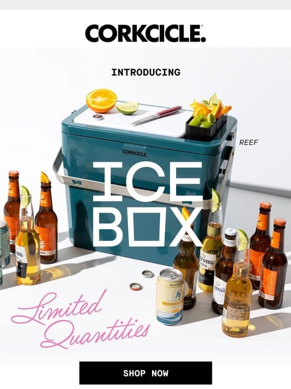 NEW Icebox Stainless Cooler