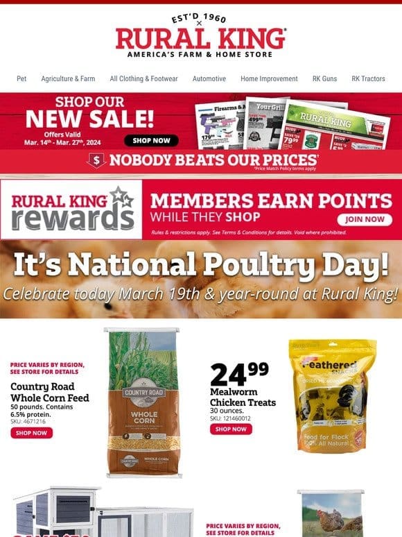 National Poultry Day! We Have Chicks Year-Round In-Store & All the Essentials to Take Care of Them!
