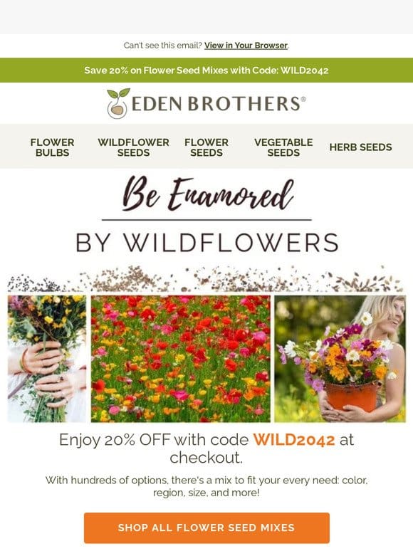 One Day Only: 20% off Wildflower Seed Mixes