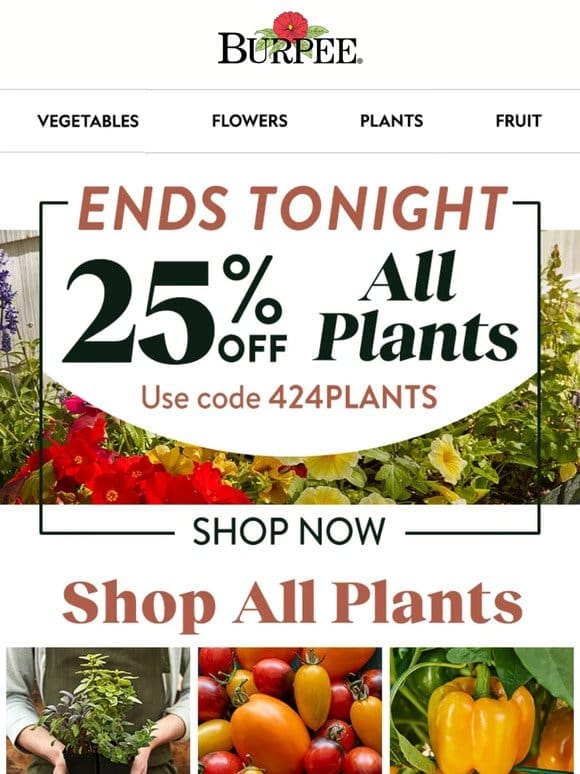 Our plant sale ends tonight