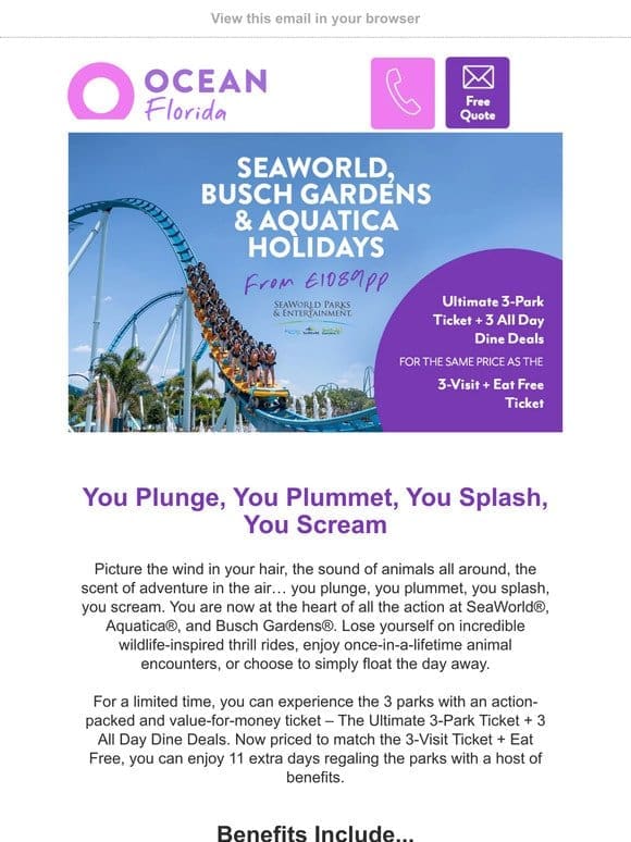 Plunge， Plummet， Splash， & Scream