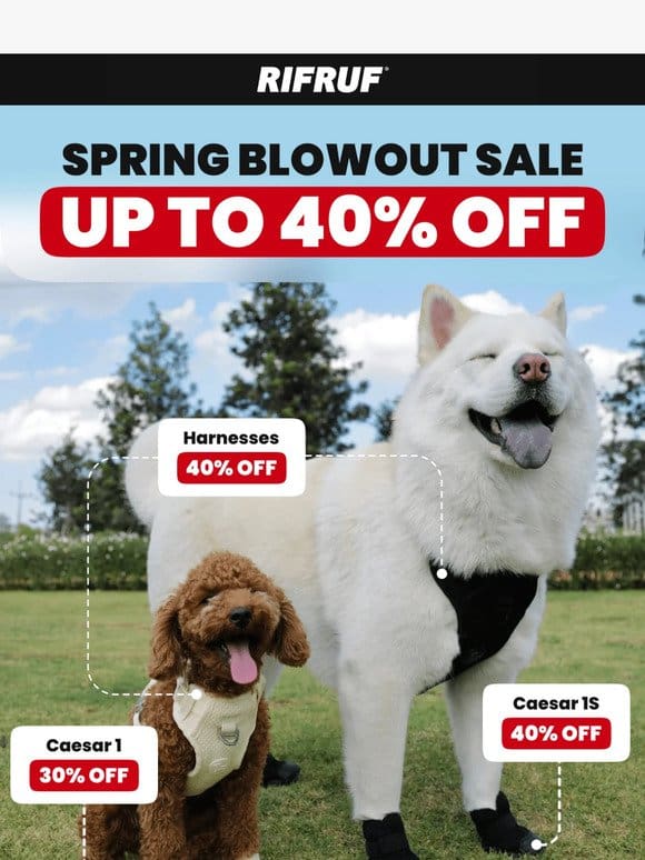 SPRING BLOWOUT SALE – UP TO 40% OFF