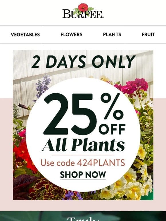 Shop now for 25% off all plants ✨