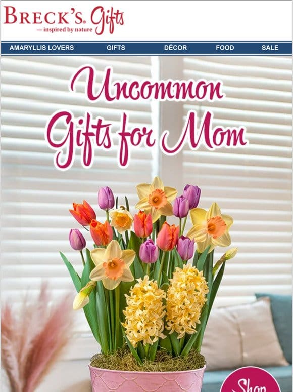 Spoil Mom & Save on Shipping!
