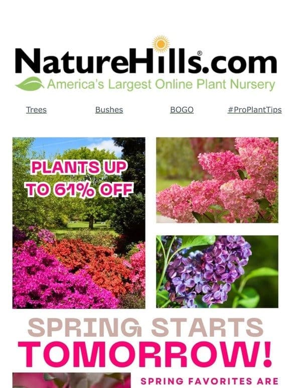 Spring starts TOMORROW! Plants Up To 61% Off