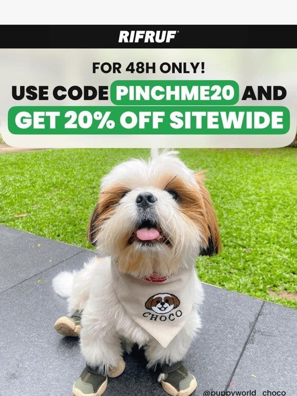 St. Patrick’s Day FLASH SALE