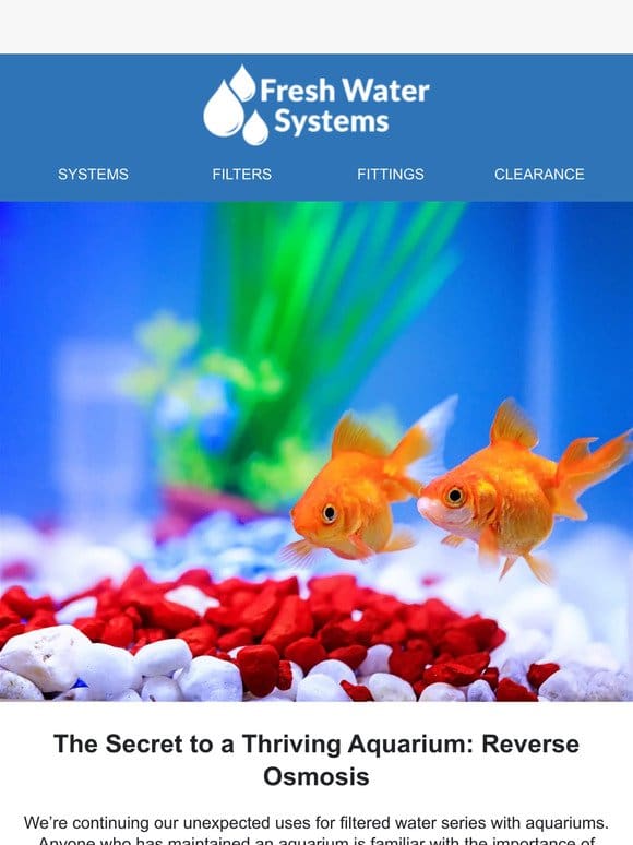 The Secret to a Thriving Aquarium…