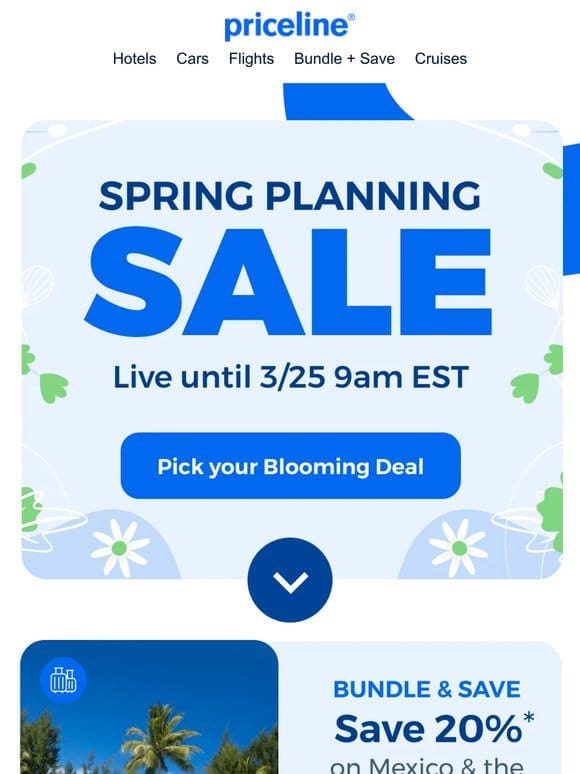 The Spring Planning Sale is in full bloom