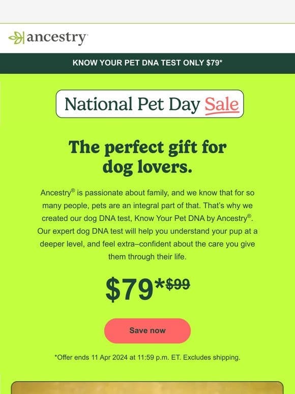 The pawfect gift with our pet DNA sale!