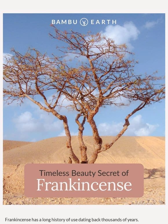Timeless Beauty Secret of Frankincense