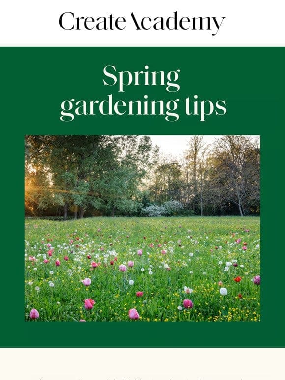 Top tips for gardening in spring