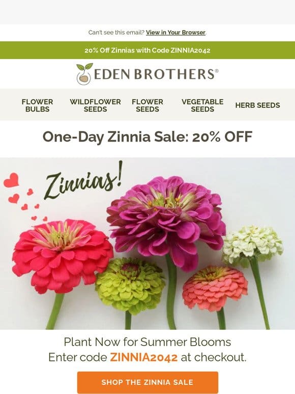 ⌛24-Hour Zinnia Sale: 20% OFF