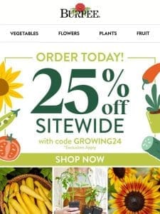 25% off sitewide